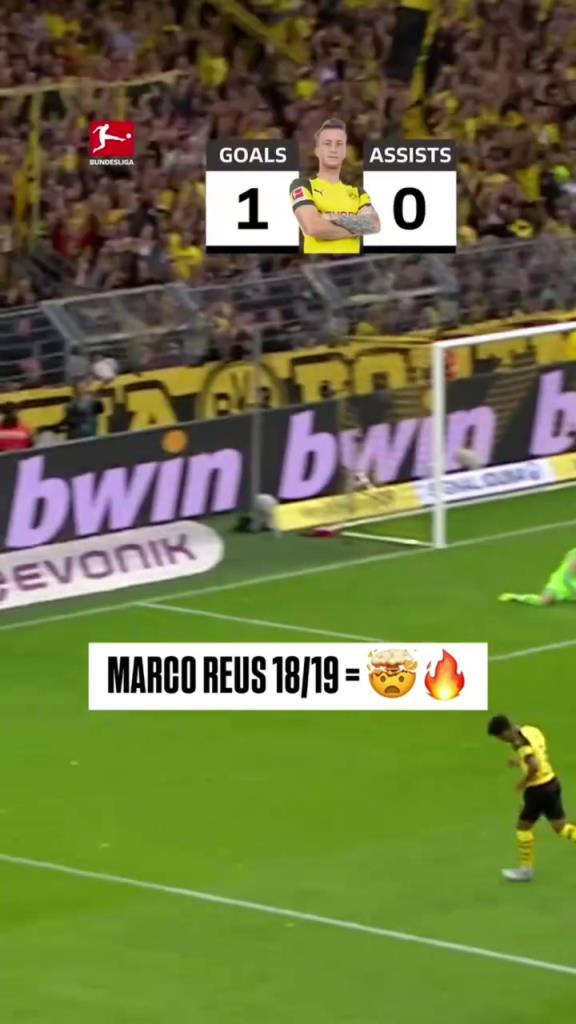 回憶殺！羅伊斯18/19賽季德甲快速回顧！精彩的一個賽季！